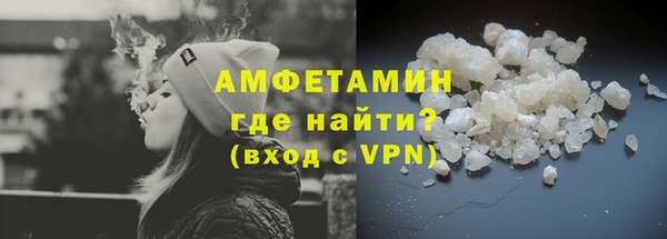сатива Верея