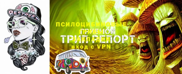 сатива Верея