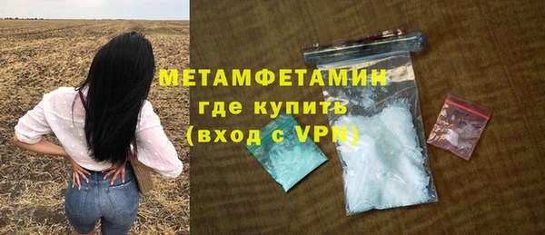 сатива Верея
