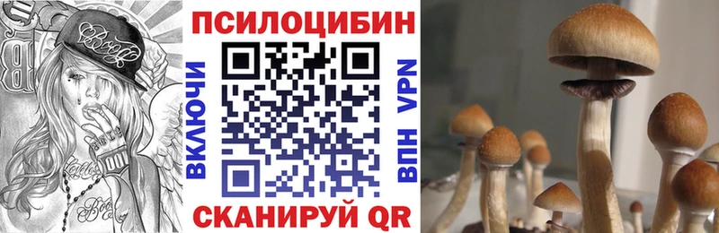 Псилоцибиновые грибы Psilocybe  Купить где  Слюдянка 